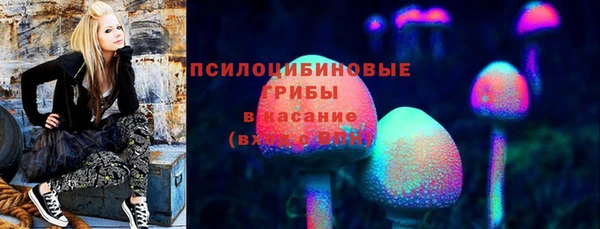 ПСИЛОЦИБИНОВЫЕ ГРИБЫ Ханты-Мансийск