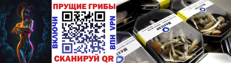 Псилоцибиновые грибы Magic Shrooms  Бирск 